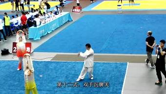大雁气功教学视频,轻松入门，体验身心和谐之美