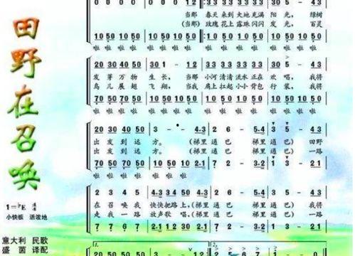 田野在召唤教学视频,探索自然与教育的和谐共鸣