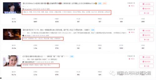 徐湛国画视频全集单播,传承与创新之旅