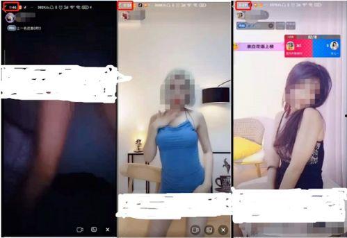成人性视频4,探索成人世界的隐秘角落