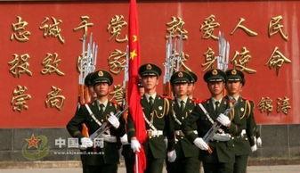 黄河电视台一拨就灵视频回放,黄河电视台聚焦民生热点，深度解析社会现象