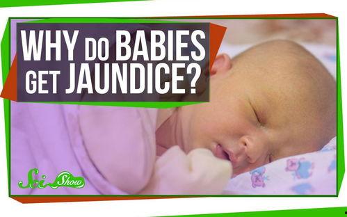 宝宝英文视频,Engaging Baby English Videos: A Glimpse into Early Language Learning