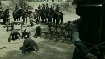 淮中市枪毙女犯视频,淮中市枪毙女犯现场视频引发社会关注