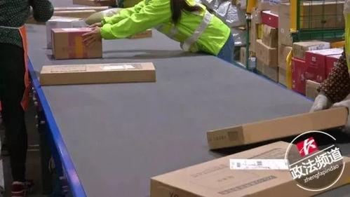 快递视频,物流运输背后的高效与便捷