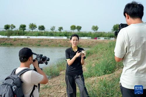 介绍黄河的视频,中华文明的母亲河