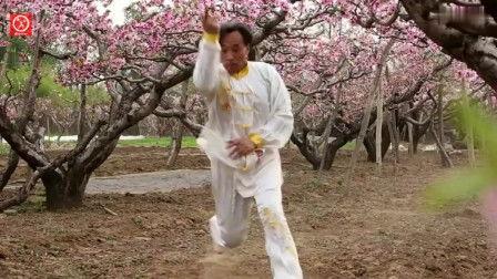 武术剑花教学视频,武术剑法教学视频精华解析